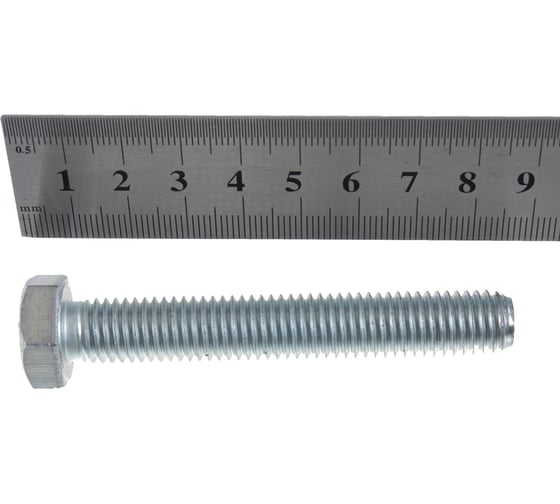 Болт Госкреп DIN933, М12х80, 2 шт. 6-0047410