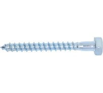 Сантехнический шуруп Госкреп 10х90 мм, 4 шт. 3-0011810