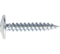 Саморезы ШУРУПЬ 4,2x41, с прессшайбой, PH №2, острый наконечник, оцинкованные 15 кг 43706