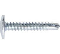 Саморезы ШУРУПЬ 4,2x16, с прессшайбой, PH №2, наконечник сверло, оцинкованные 15 кг 43710