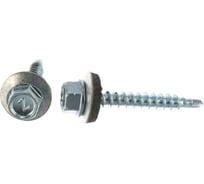 Кровельный саморез BARTEX 4.8x38 цинк, пакет 15шт 211722