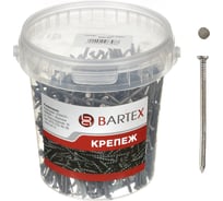 Гвозди BARTEX 3.0x70 банка, 1кг 211142