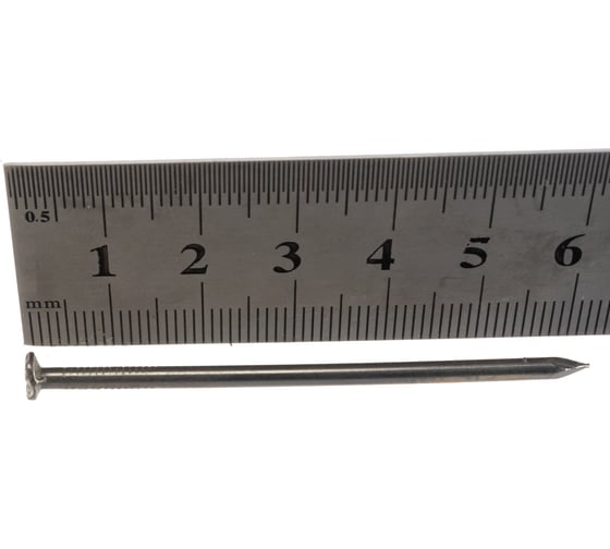 Гвозди BARTEX 2.5x60 банка, 1кг 211141