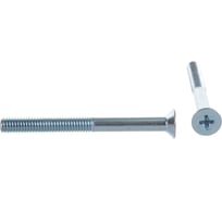 Винт Госкреп DIN965 М5х50 6 шт., подвес 6-0056840