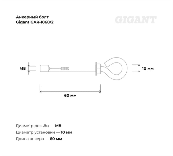 Анкерный болт с кольцом Gigant 10x60 2 шт GAR-1060/2