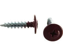 Саморезы Госкреп с пресс-шайбой 4,2х19мм красные RAL3005 30 шт., подвес 1-0017370