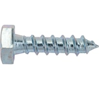 Сантехнический шуруп Госкреп 10х40 4 шт., подвес 3-0011700