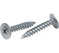 Саморез с пресс-шайбой с острым наконечником BEFAST 4,2x25, 10 кг C1002510S