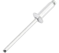 Заклепка тяговая Al-сталь (100 шт; 4х12 мм) ЕВРОПАРТНЕР 4 2586 2