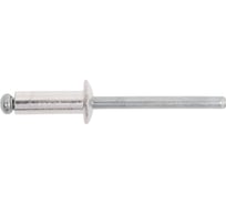 Заклепка тяговая Al-сталь (40 шт; 4.8х14 мм) ЕВРОПАРТНЕР 4 0084 1