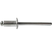 Заклепки (50 шт; 4х6.4 мм) SKRAB 35055