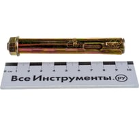 Анкерный болт с гайкой VIPкрепеж 14/100 26030 VIPS