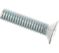 Винт потай с метрической резьбой VIPкрепеж DIN 965, 4х16, 17 шт. 18424 VIP