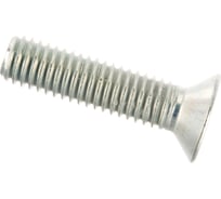 Винт потай с метрической резьбой VIPкрепеж DIN 965, 5х20, 10 шт. 18446 VIPS