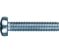 Винт КРЕП-КОМП полуцилиндрическая головка, цинк DIN7985 6х55 180 шт вц655