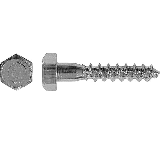 Сантехнический шуруп SWFS 10х120 мм, 25 шт. тов-103062 1