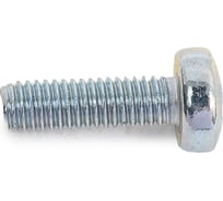 Винт SWFS DIN7985 М3х10, 30шт. пакетик тов-092425