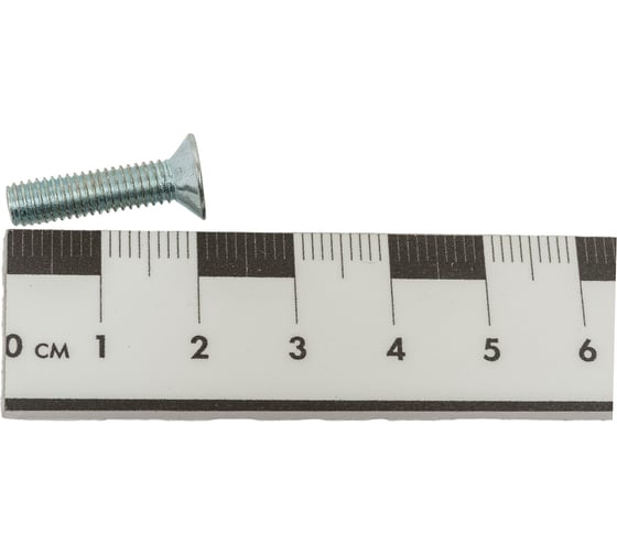 Винт SWFS DIN965 М5х20, 12шт. пакетик тов-092450