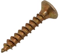 Саморез SWFS ШУЖ 2,5х16, 25шт. пакетик тов-091858