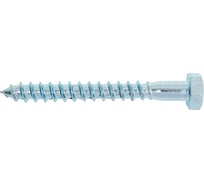 Сантехнический шуруп SWFS 8х70 мм, 2 шт., пакет тов-092738