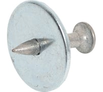 Гвоздь с шайбой GNG 22 мм, упаковка 100 шт. GNPDNW22BT