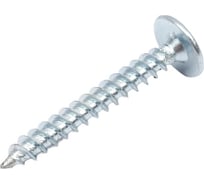Саморез с прессшайбой Экопласт 4.2x32 мм, шлиц PH 47407-100