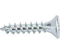 Саморез ШУЦ SWFS 2,5х13, 25 шт. пакетик тов-091776