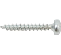 Саморез ШУЦ SWFS PN 3х20, 25 шт. пакетик тов-091966