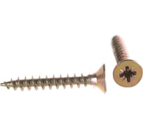 Саморез Госкреп ШУЖ 5,0х35 200 шт. пл.конт 400 мл 1-0028130