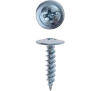 Саморезы с пресс-шайбой Steelfix острые, 1кг 4,2х65 А-00210