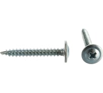 Саморезы с пресс-шайбой Steelfix острые, 1кг 4,2х32 А-00205