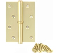 Петля Avers 100*70*2,5-B-GM-R 18449