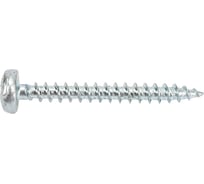 Саморез SWFS ШУЦ PN 6х50 250 шт тов-019730