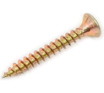 Саморез SWFS ШУЖ 2.5х20 мм, 25 шт. тов-091859