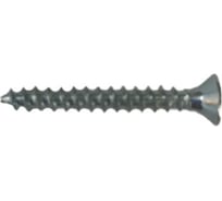 Саморез SWFS ШУЦ 2.5х16 мм, 25 шт. тов-091780