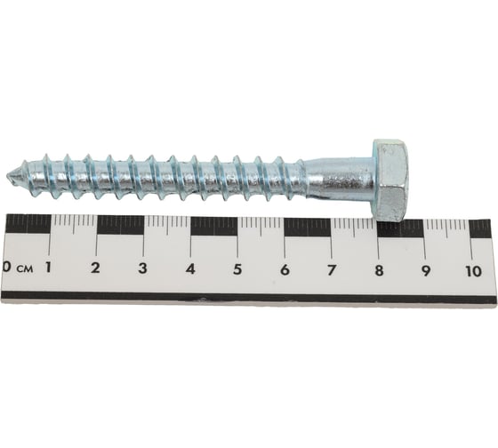 Сантехнический шуруп SWFS 10х80 мм, 2 шт. тов-092749