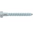 Сантехнический шуруп SWFS 10х80 мм, 2 шт. тов-092749 1