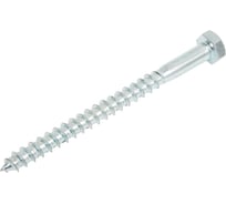 Сантехнический шуруп SWFS 8х100 мм, 2 шт. тов-092742