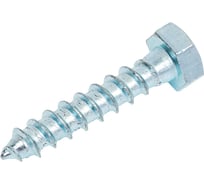 Сантехнический шуруп SWFS 8х40 мм, 2 шт. тов-092734