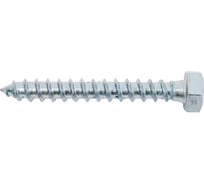 Сантехнический шуруп SWFS 8х60 мм, 2 шт. тов-092737