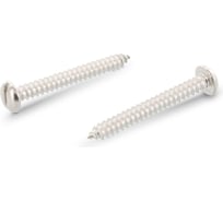 Саморез Metiz-A2 DIN 7971, M4.8х19 мм, А2, нерж., цилиндр, прямой. шлиц, 10 шт. 797124819 10