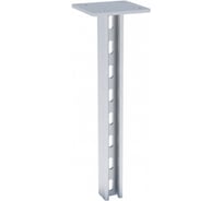 STRUT-стойка EKF 41х21мм, 2500 мм sts4121250