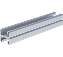 Двойной STRUT-профиль EKF 41х21х2,0х2000 stpd41212x2,0