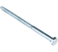 Сантехнический болт Стройбат DIN 571 12x100 белый цинк 2шт 310130