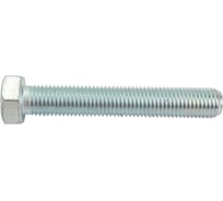 Болт Стройбат DIN 933 М16x100 белый цинк 2 шт 306450