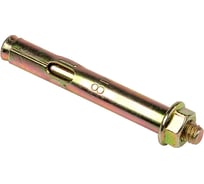 Анкерный болт с гайкой EKF М10х95 50 шт. abgm10x95