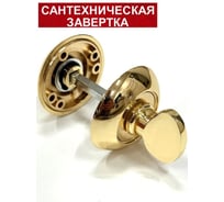 Сантехническая завёртка Rucetti RAP WC PG цвет-золото 9010520