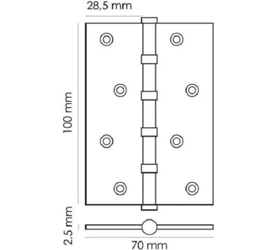 Стальная петля RUCETTI RS 100X70X2.5-4BB SG мат.золото 9010639
