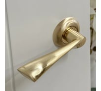 Дверная ручка RUCETTI RAP 1 SG, цвет-мат.золото 9008762
