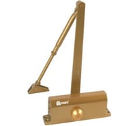 Доводчик МСМ D-75KG GP Золото 00000000474